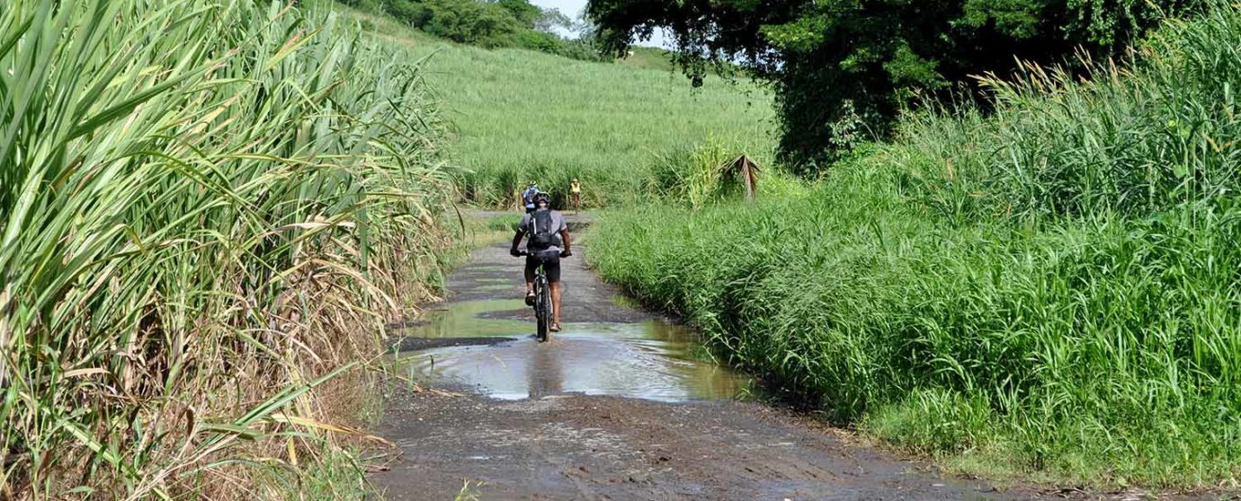 Trip sur mesure en E-bike pour découvrir la Martinique