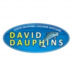 David Dauphins