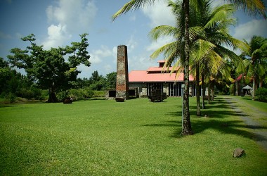 Maison de la Canne