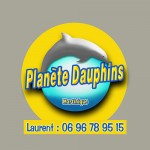 Planète Dauphins