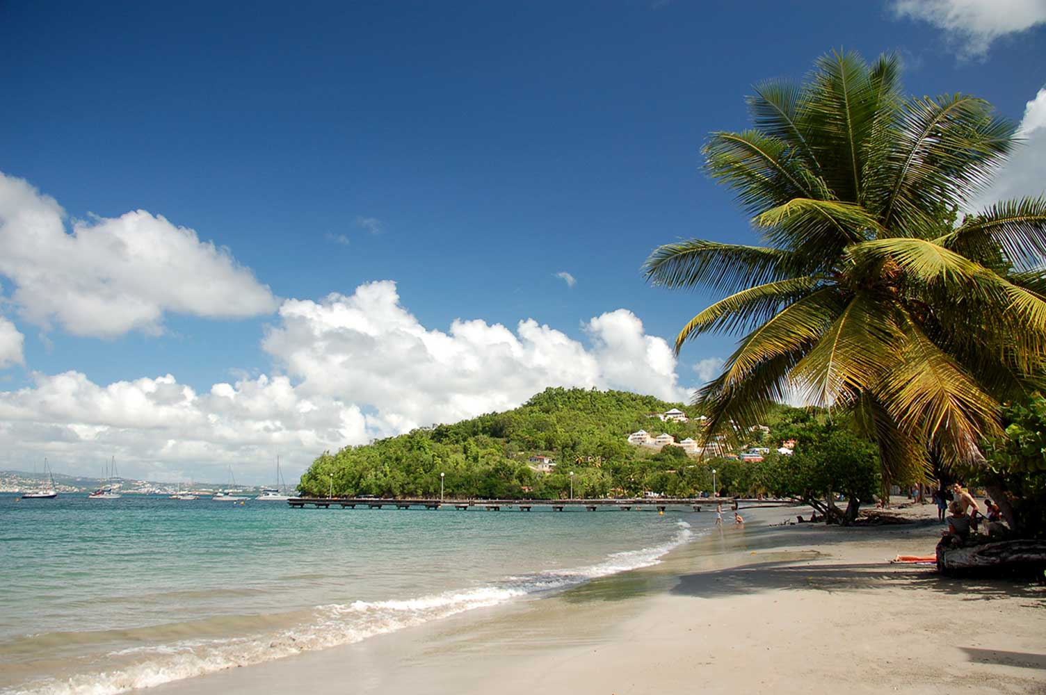 Anse à l'Âne Martinique Active