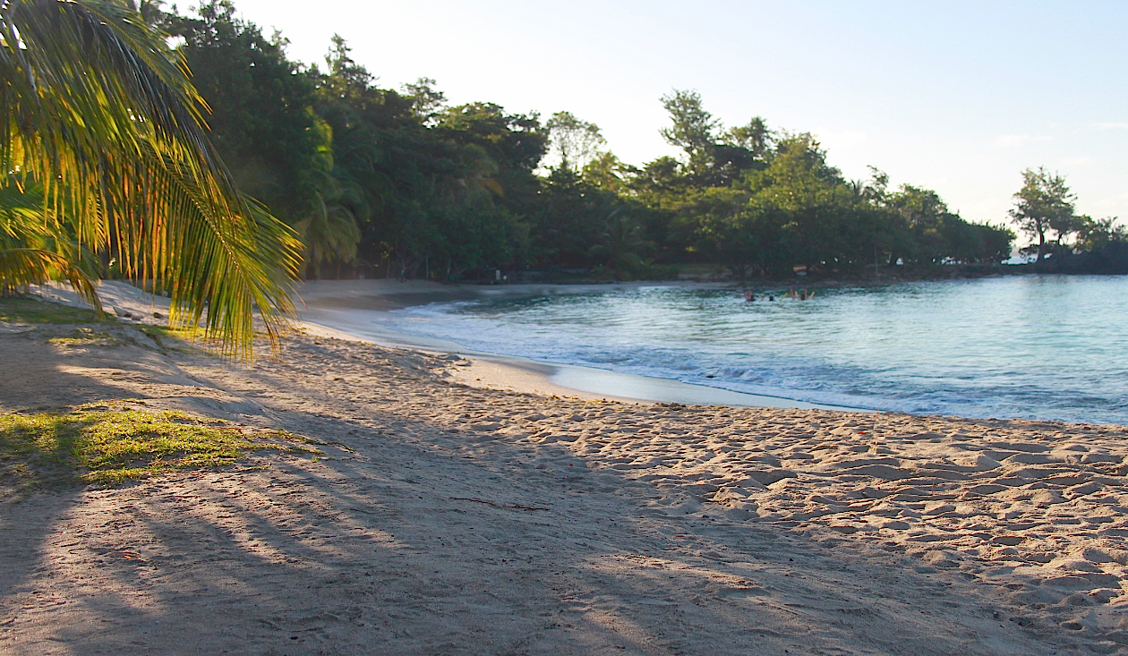 Anse Figuier Martinique Active Anse Figuier Martinique Active