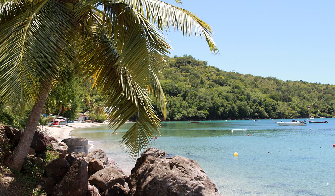Grande Anse d'Arlet Martinique Active