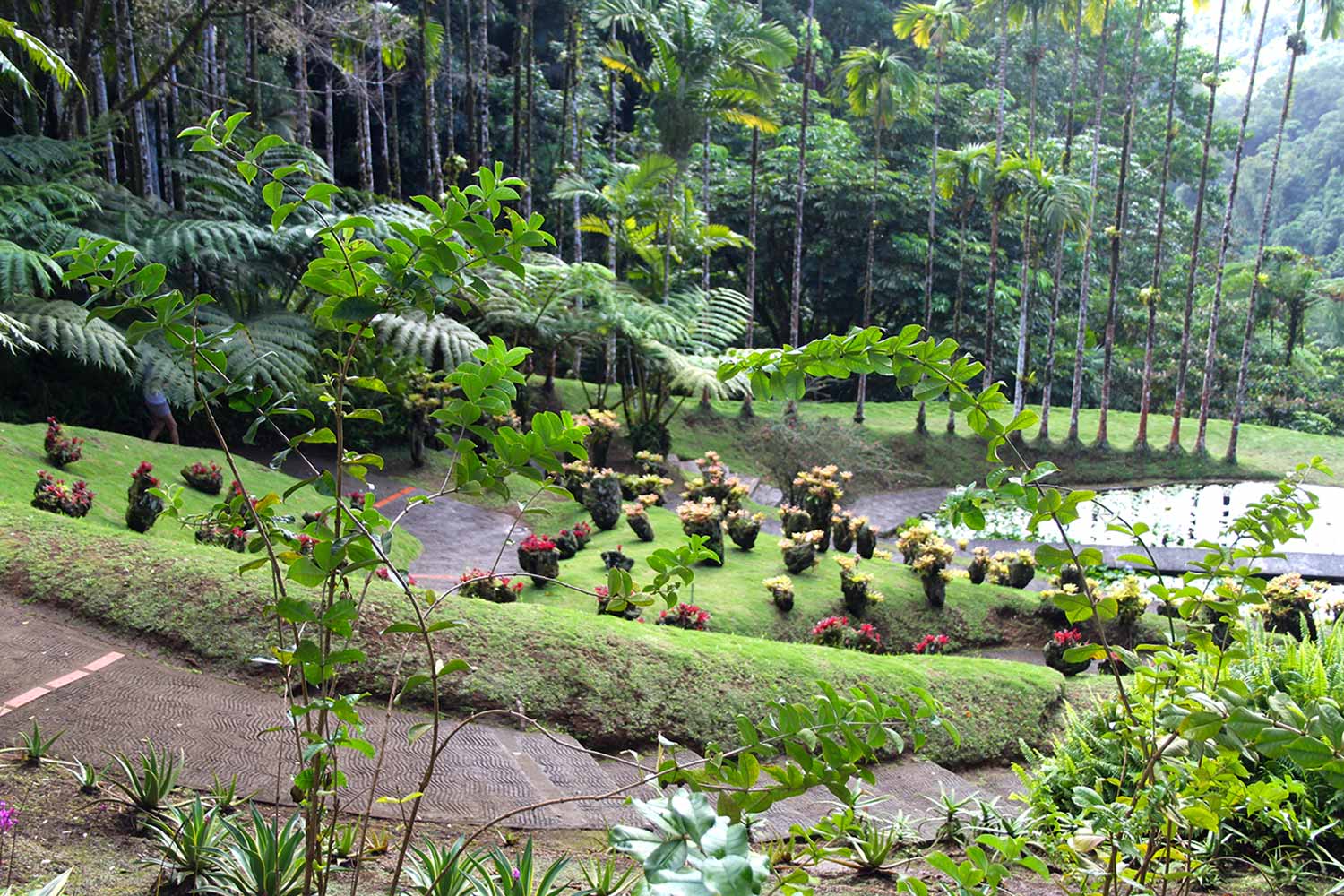 Jardin de Balata - Martinique Active