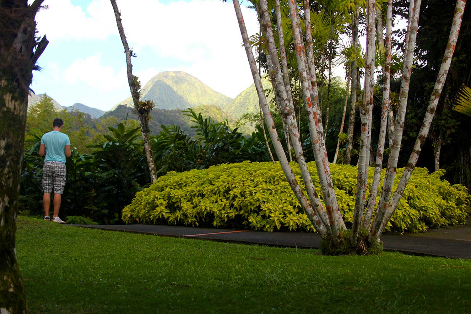 Jardin de Balata - Martinique Active