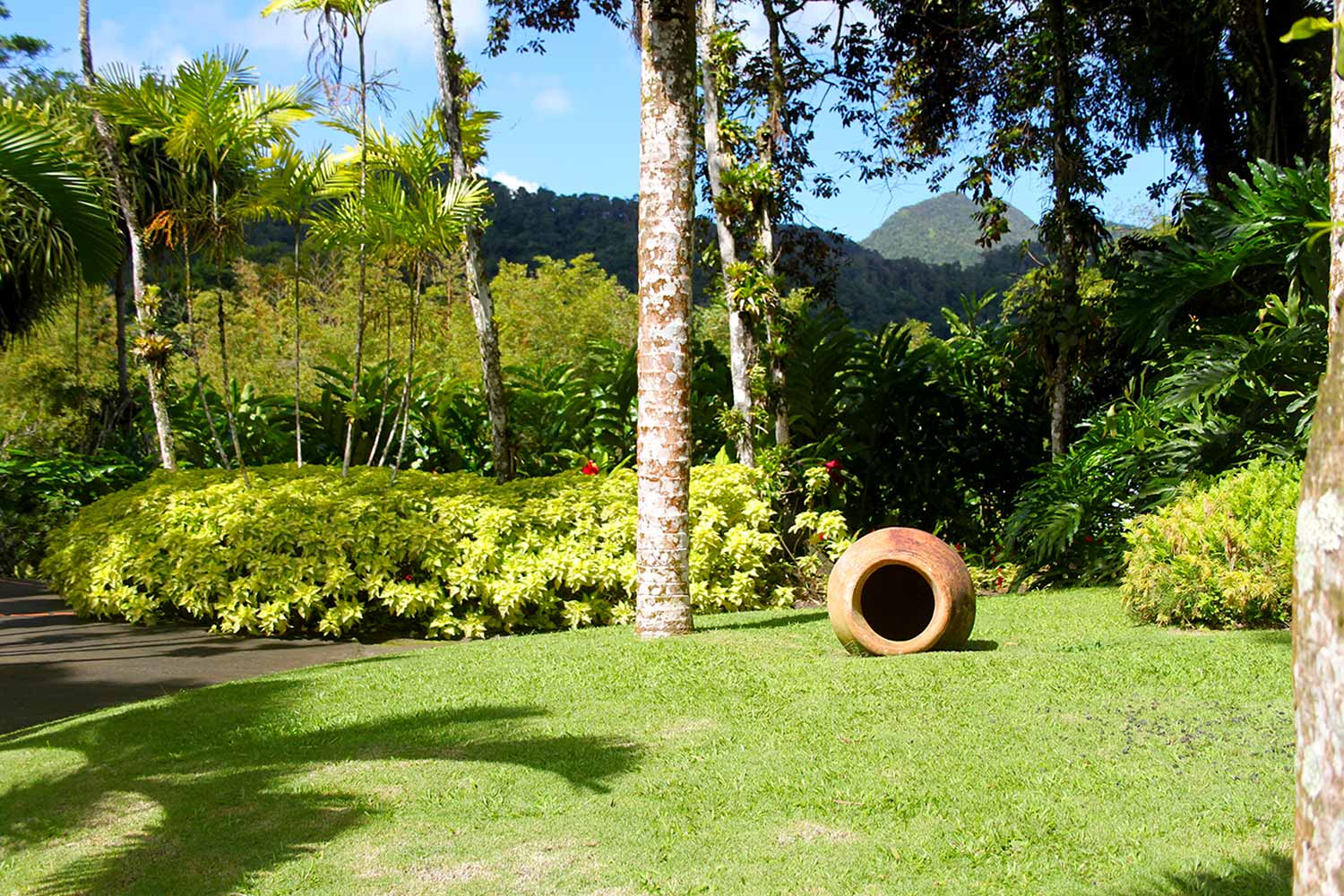 Jardin de Balata - Martinique Active