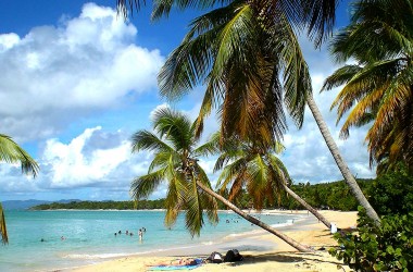 Grande Anse des Salines