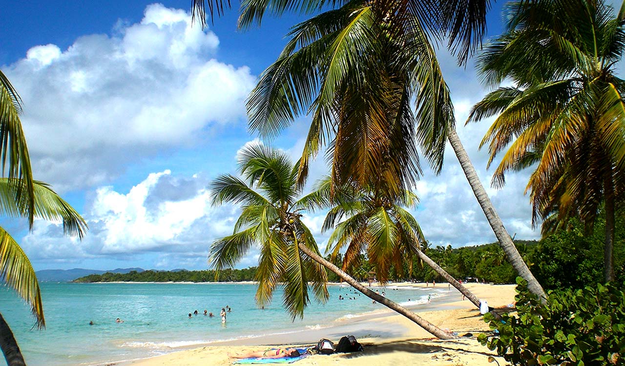Anse Caritan - Salines - Martinique Active