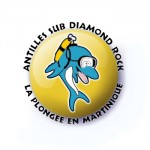 Antilles Sub Diamond Rock Plongée
