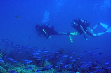 Plongée Immersion Caraïbes