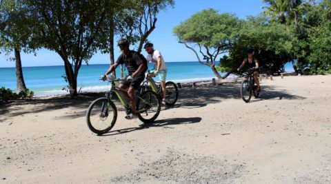 Maßgeschneiderter Trip mit dem E-Bike, um Martinique zu entdecken.
