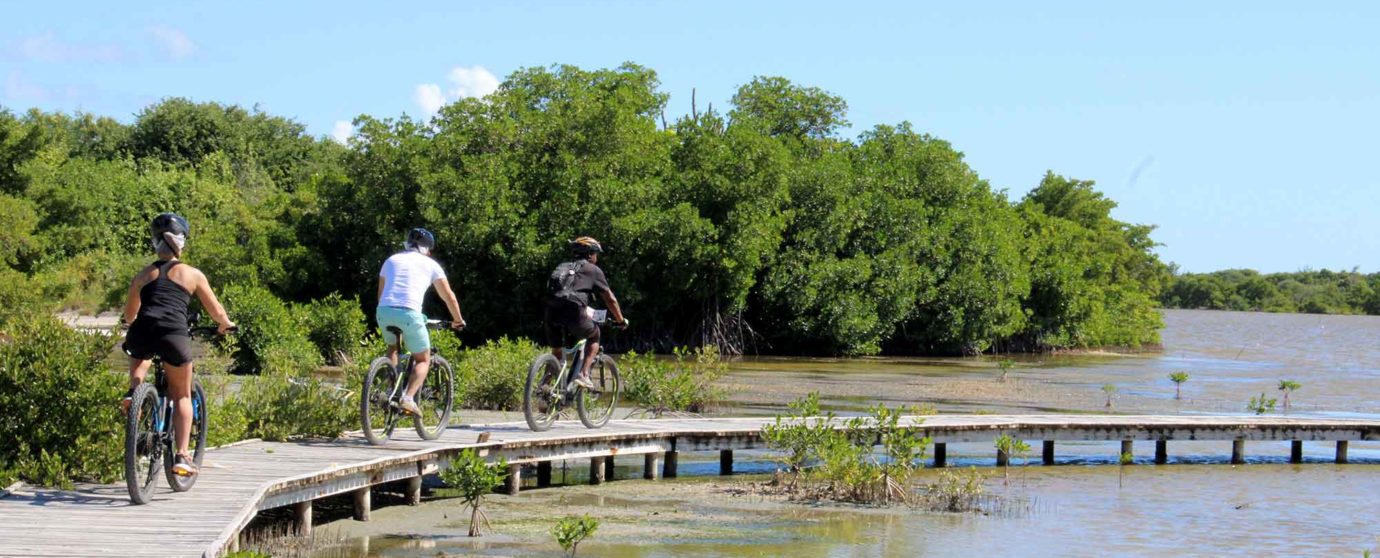 Voyage de noces en E-bike à la carte !