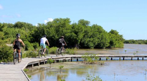 Voyage de noces en E-bike à la carte !