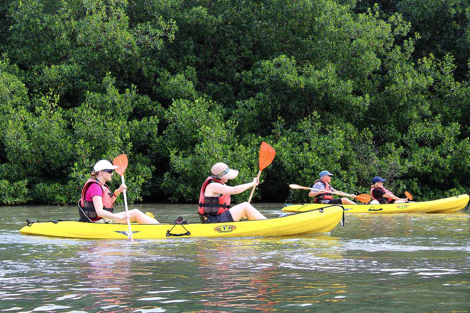 Kayak Nature Evasion Martinique Active